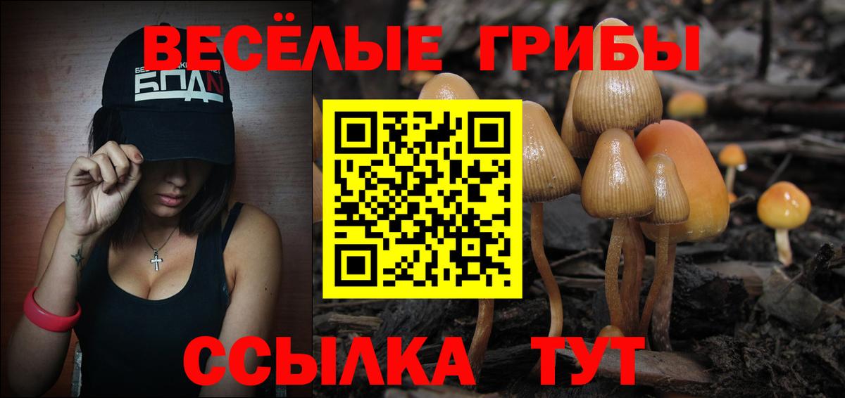 Галлюциногенные грибы Cubensis Юрга